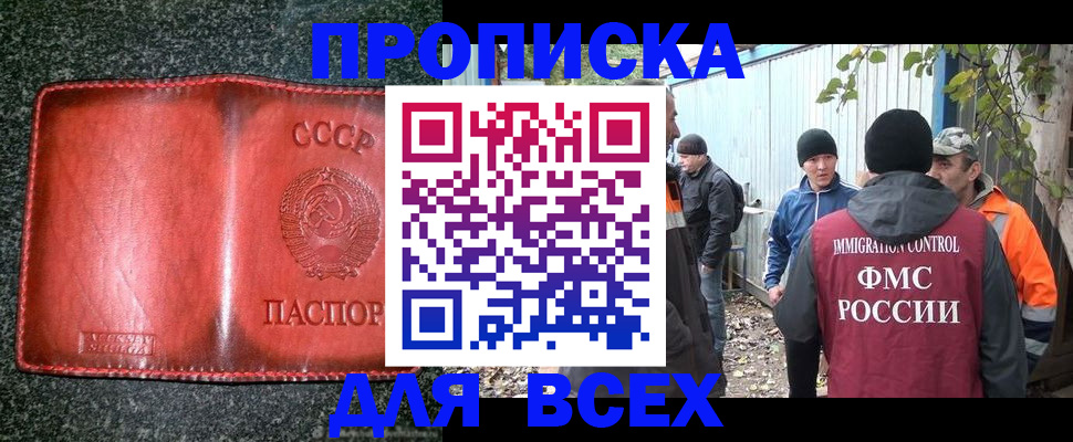 временная регистрация поиск в Кашине